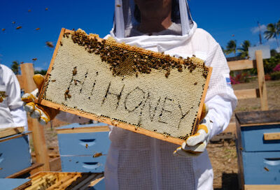 Hi Honey Farm