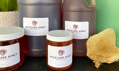 Prime Bees - Beekeepers & Honey Bee Farm