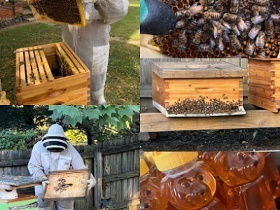 Barley Moon Botanicals