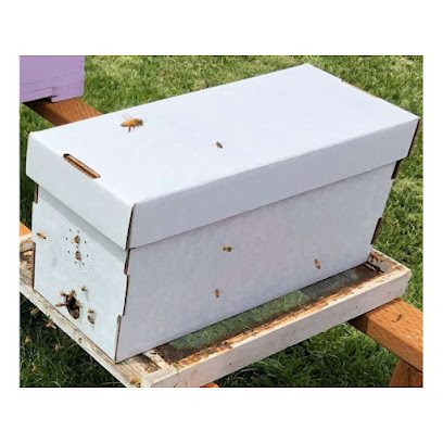 Blossomwood Honey