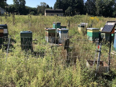 Hilltop Apiaries