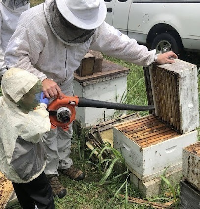 BeeAttitudes Apiary