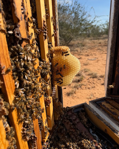 Youngblood's Honey