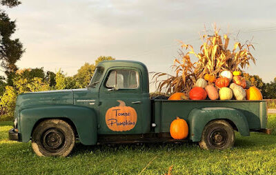 Tomac Pumpkin Patch