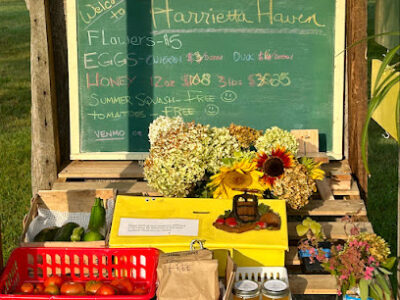 Harrietta Haven