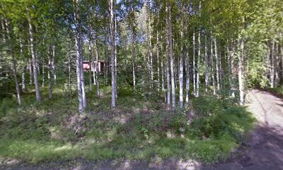 Alaska Honey Collective