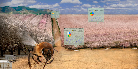BeeHero