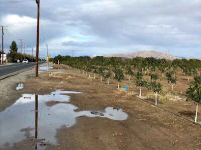 Cary's Honey Farm Inc