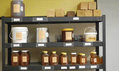 Buzz Bee Honey & Pecan Company