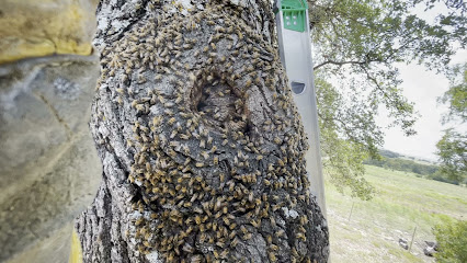 K² Apiary & Bee Removals