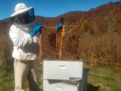 Appalachian Apiaries