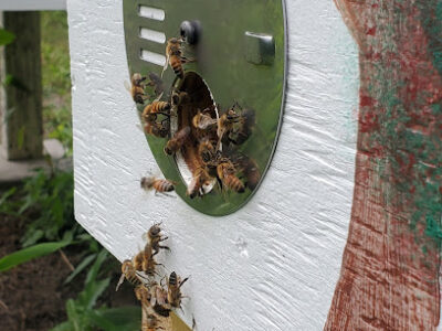 Arden Apiaries