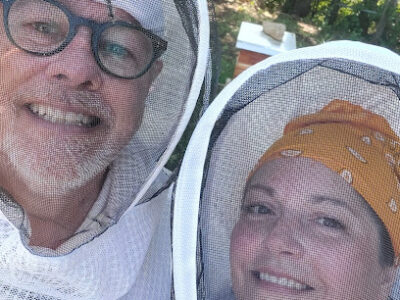 honey b hives
