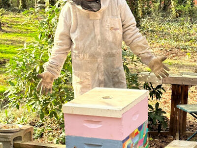 Alpharetta Bee Company