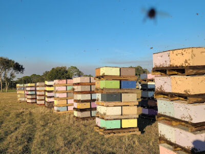 Midsummer Apiary LLC