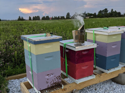 Stony Ridge Apiaries LLC