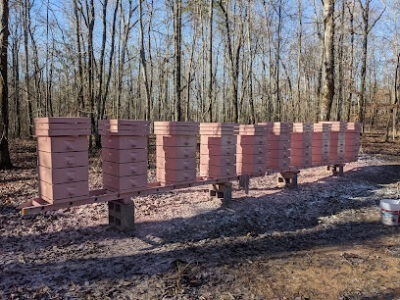 Central Alabama Honey and Apiary, llc