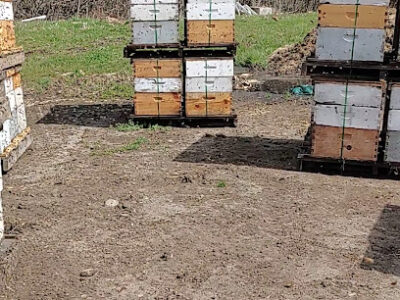 The B Farm - Merrimack Valley Apiaries