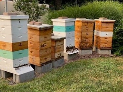 Lansdale Honey