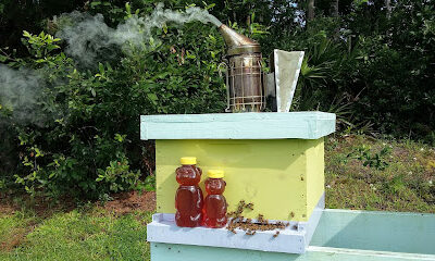Wetlands Honey
