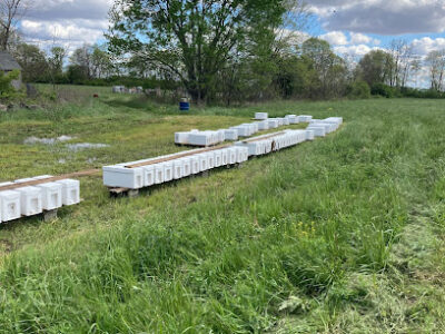 Combs Bee Farm
