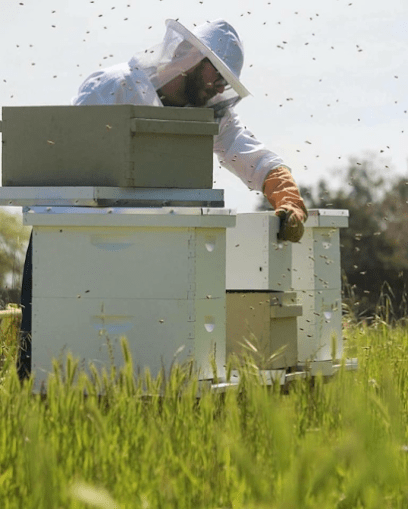 HiveMinded, Inc.