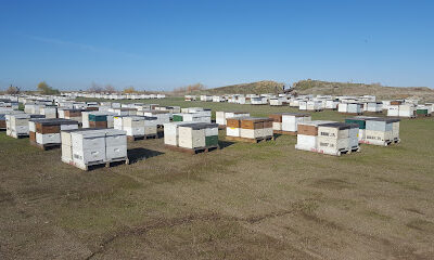 BASTIN HONEY BEE FARM, LLC