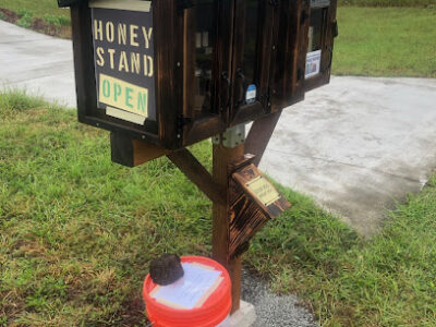Bearded Bee Farmstand