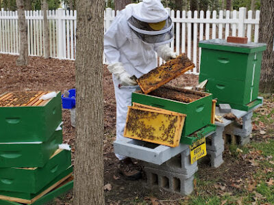 Pop's Bees LLC