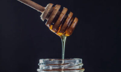 The Bee’s Knees Apiary
