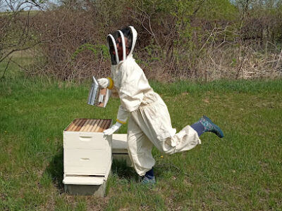 AWS Bees LLC