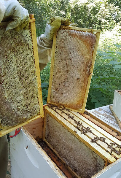 Local Raw Honey Farms