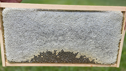 Northwoods Honey Company LLC