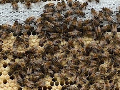 Sparrow Swamp Honey Company