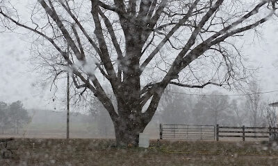 Hege Farm