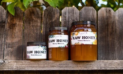 Beeline Organic Honey