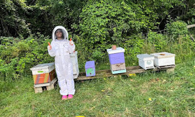 HandyMannys Bee Removal & Home Remodeling LLC