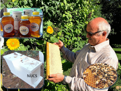 Stef Family Bees LLC