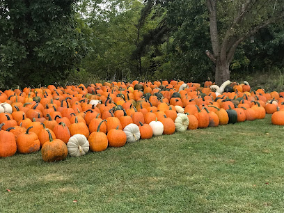 Hickory Creek Honey and Pumpkins