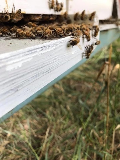Graun Bee Company