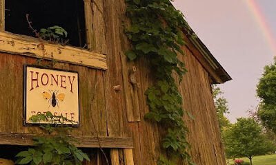 Wellbaum Acres Apiaries