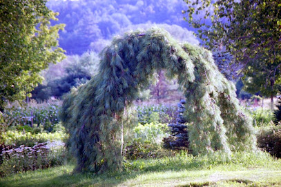 Weeping Pine Farm and Apiaries