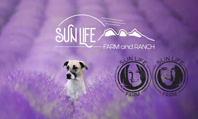 SunLife Farm
