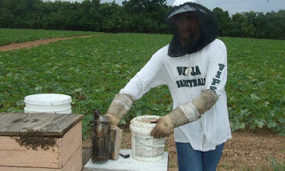 Alberteris bees farms inc