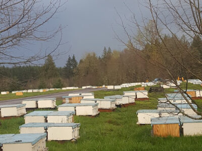 Foothills Honey Co LLC
