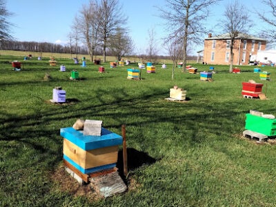Mike's Bees And Honey