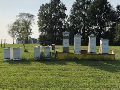 Big Cedar Farm