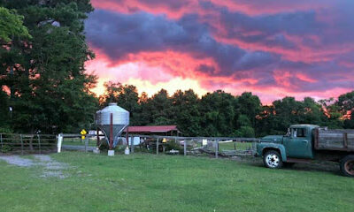 Old McCaskill's Farm