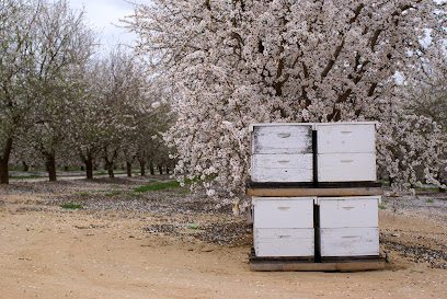 Oakley Apiaries