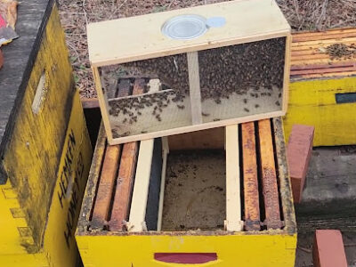 Hemken Honey Company